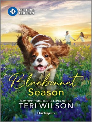cover image of Bluebonnet Season